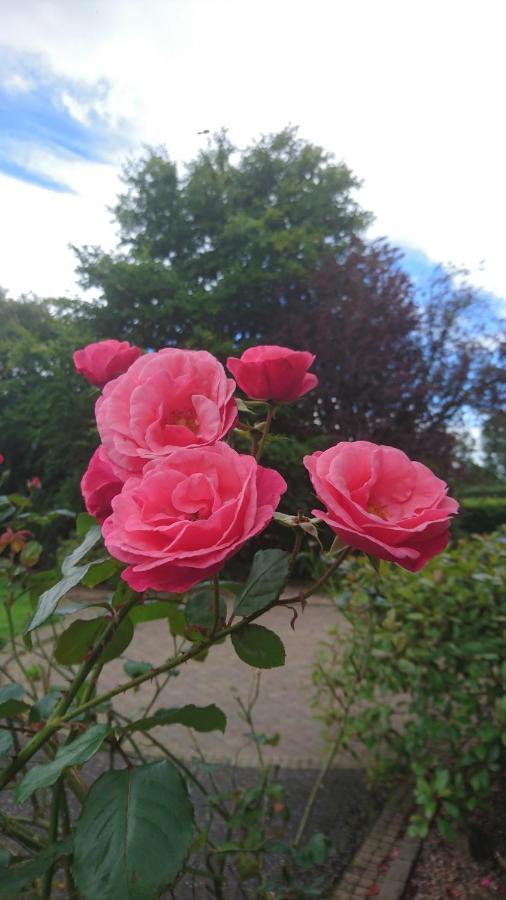 Rossclare Lodge Enniskillen Zewnętrze zdjęcie